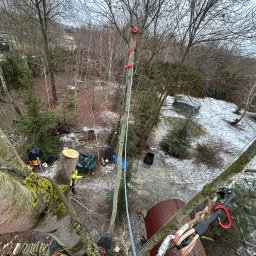 Jakub Graniczny Tree Service - Widok z góry na drzewo z linami i sprzętem do arborystyki, w tle teren z resztkami śniegu i ściętym pniem. Prace w toku, widoczne buty pracownika.
