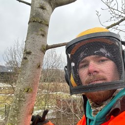 Jakub Graniczny Tree Service - Wycinki Włocławek