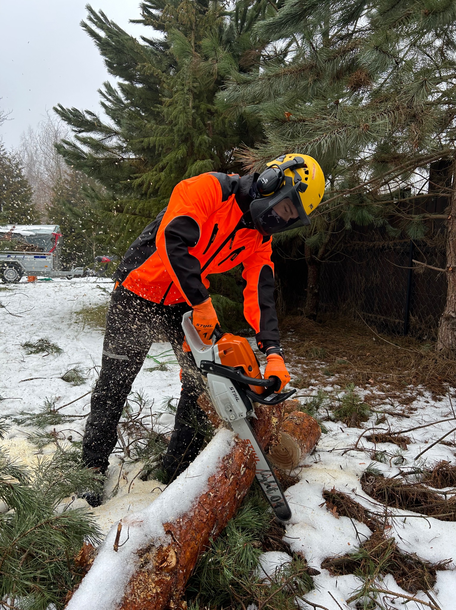 Pracownik w pomarańczowej kurtce tnie piłą spalinową kłodę drewna na śniegu, w tle przyczepka i drzewa iglaste. Używa kasku ochronnego i słuchawek.