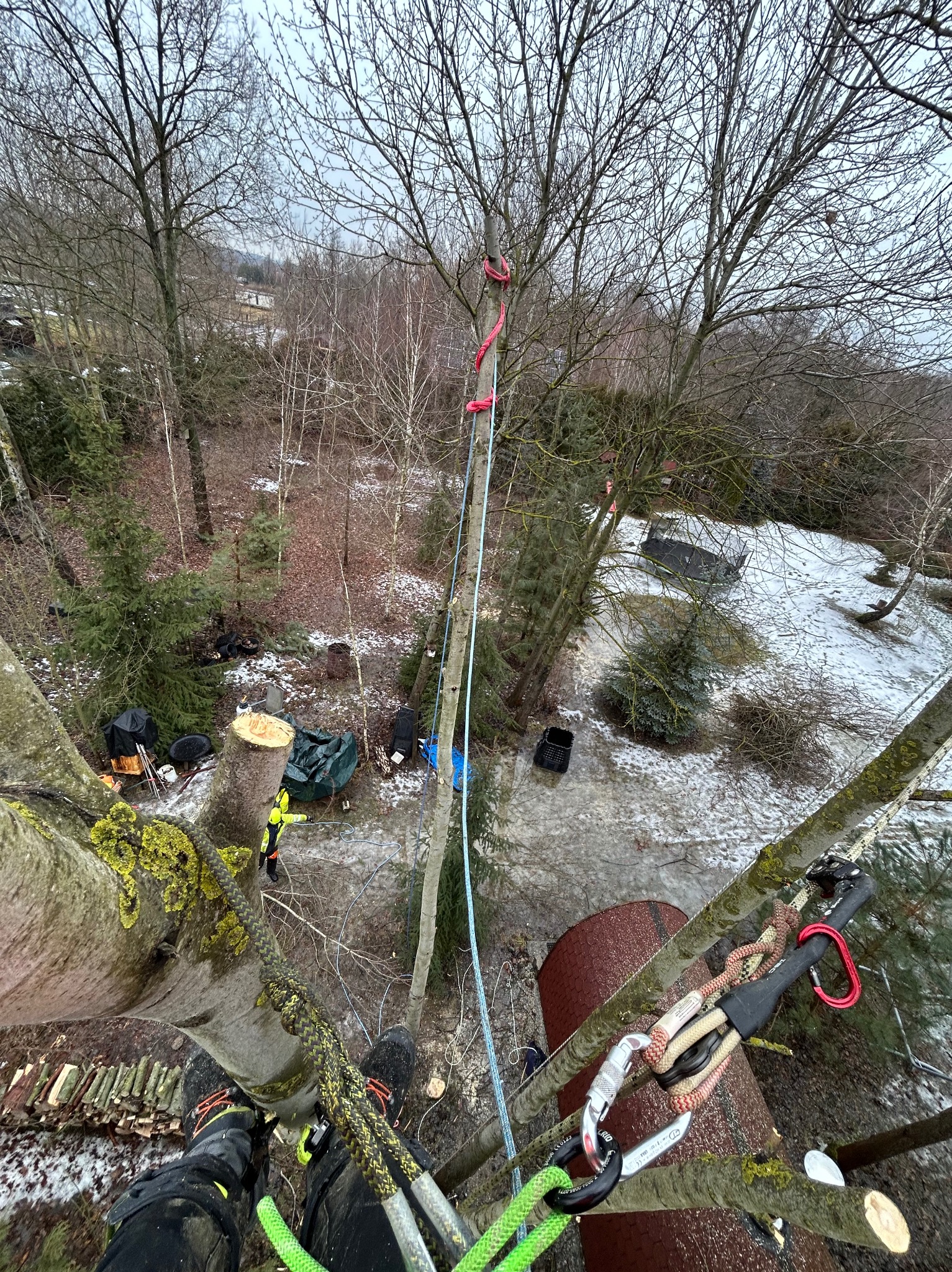 Widok z góry na drzewo z linami i sprzętem do arborystyki, w tle teren z resztkami śniegu i ściętym pniem. Prace w toku, widoczne buty pracownika.