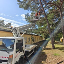 ArborTechLine Marcin Chmielewski - Arborysta w podnośniku koszowym przycina gałęzie wysokiej sosny. W tle budynek i niebo. Wokół leżą ścięte gałęzie. Widoczny samochód z podnośnikiem.