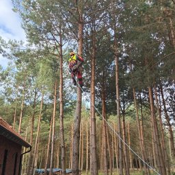 Wycinka drzew Bytów 2