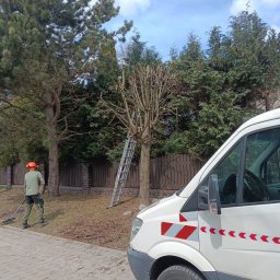 ArborTechLine Marcin Chmielewski - Pracownik w kasku zbiera grabiami gałęzie po przycięciu drzewa. Obok drabina oparta o pień i samochód z oznaczeniami. W tle brązowe ogrodzenie i zielone drzewa.