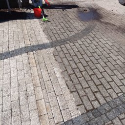 Sadzenie drzew i krzew&oacute;w Byt&oacute;w