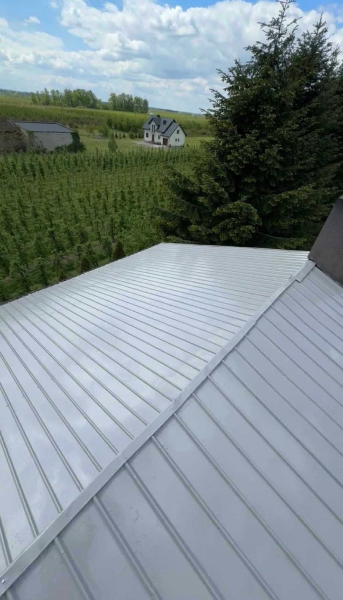 Błyszczący, szary dach z blachy trapezowej, widok z góry na tle zieleni drzew i zabudowań. Nowoczesne pokrycie dachowe po renowacji, odbijające światło słoneczne.