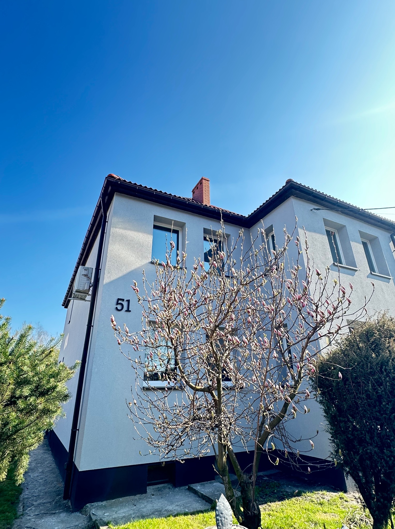 Odnowiona elewacja dwukondygnacyjnego domu z numerem 51, widziana z dołu, z kwitnącą magnolią na pierwszym planie i błękitnym niebem w tle.