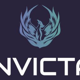 INVICTA - Naprawy Hydrauliczne Piotrk&oacute;w Trybunalski