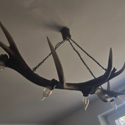 Robert Breza - Żyrandol z poroża jelenia, zawieszony na łańcuchach, z żarówkami w stylu retro. Widok z dołu, okno w tle.