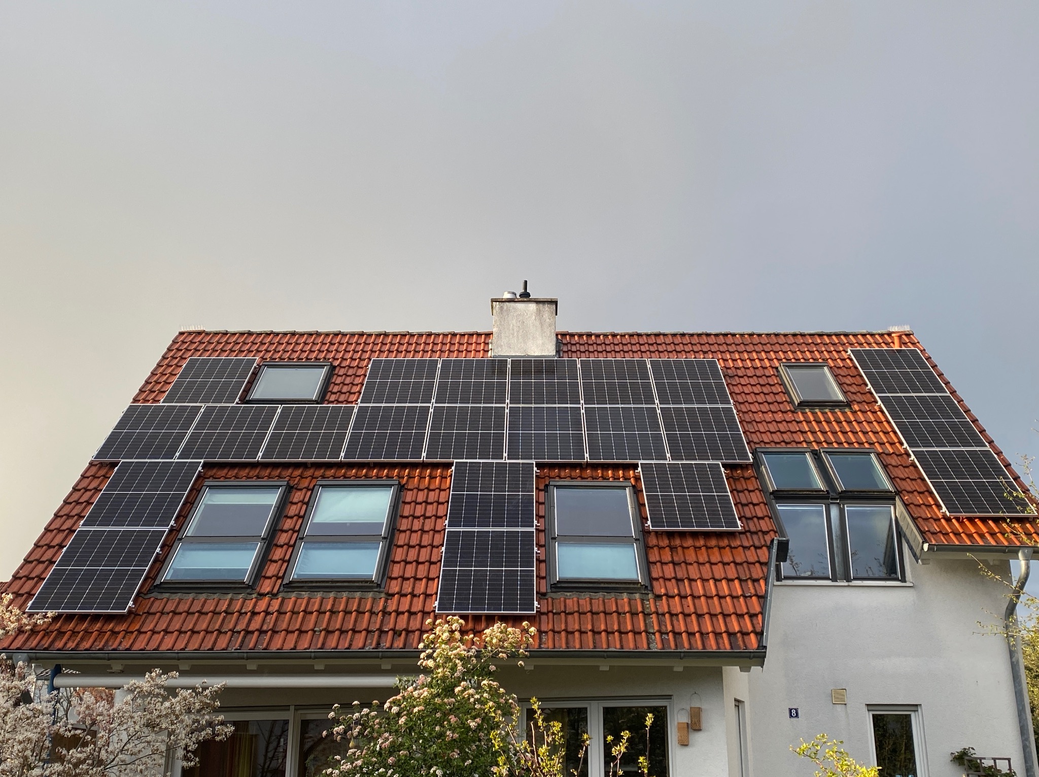 Czerwony dach domu z panelami słonecznymi i oknami dachowymi, widziany z dołu pod kątem. W tle szare niebo i kwitnące drzewa.