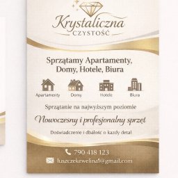 Ewelina Łuszczek - Czyszczenie Tapicerki Sk&oacute;rzanej Czerwienne