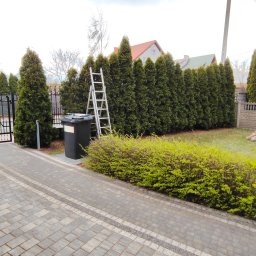 BS Garden - Równy żywopłot z tui szmaragd, drabina oparta o tuje, kosz na śmieci, kostka brukowa na podjeździe, krzewy ozdobne, ogrodzenie posesji. Pochmurny dzień.