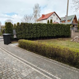 BS Garden - Równy żywopłot z tui szmaragd, oddzielający posesję od ulicy, widoczny zza brukowanego chodnika. W tle dom z czerwoną dachówką i słup energetyczny.