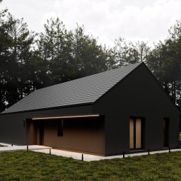 FormHome - Czarny, nowoczesny dom jednorodzinny z płaskim dachem, otoczony zielenią. Minimalistyczny design, oświetlenie elewacyjne, kostka brukowa. Ujęcie z niskiej perspektywy.