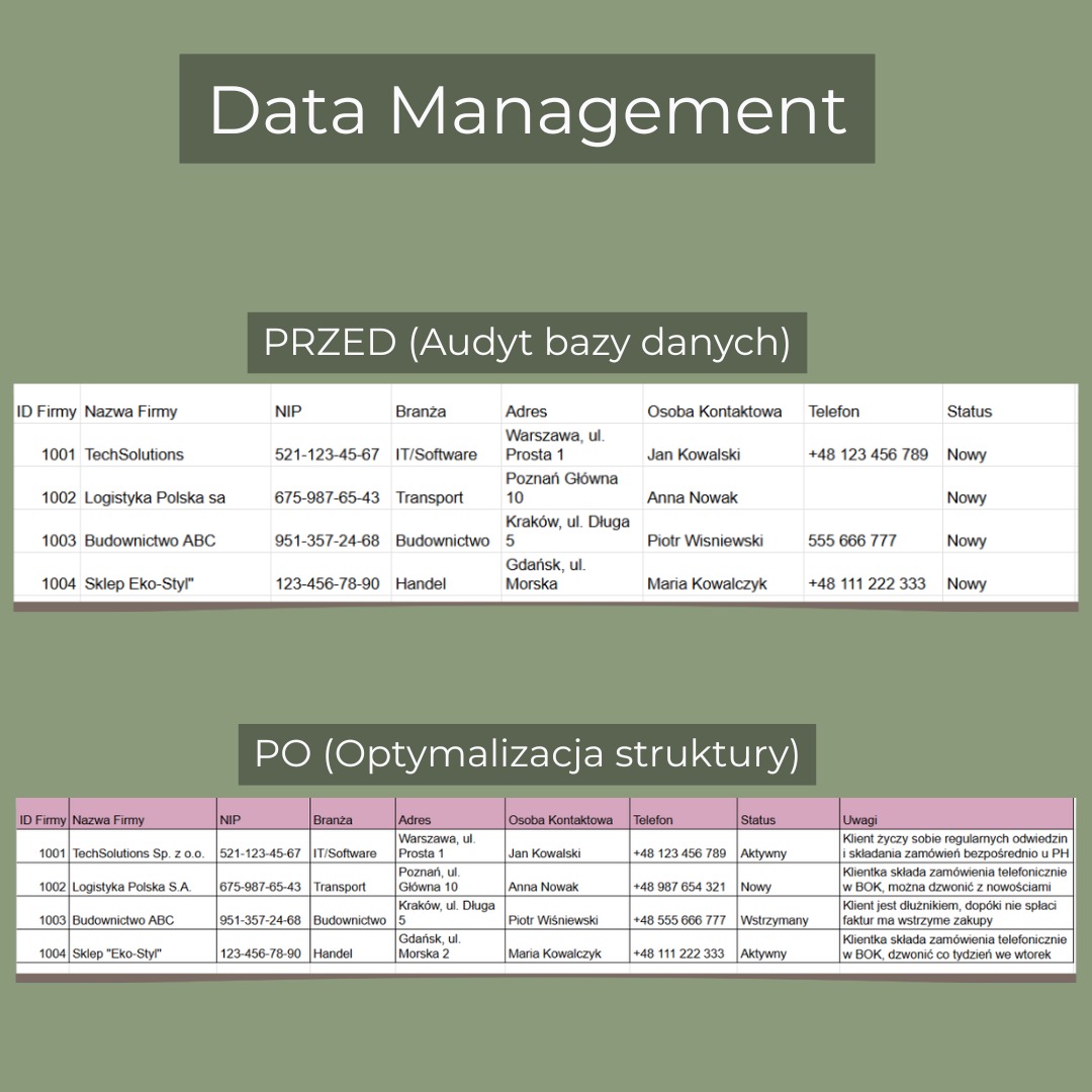 Data Management: Porównanie tabeli bazy danych PRZED (audyt) i PO (optymalizacja struktury). Widoczne dane firm, NIP, adres, kontakt, status i uwagi.