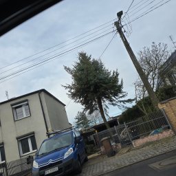 Kornel Ogrody - Niebieski samochód dostawczy z drabiną na dachu zaparkowany przed domem i drzewem po przycince, widoczne ślady cięcia gałęzi. Słup energetyczny w tle.