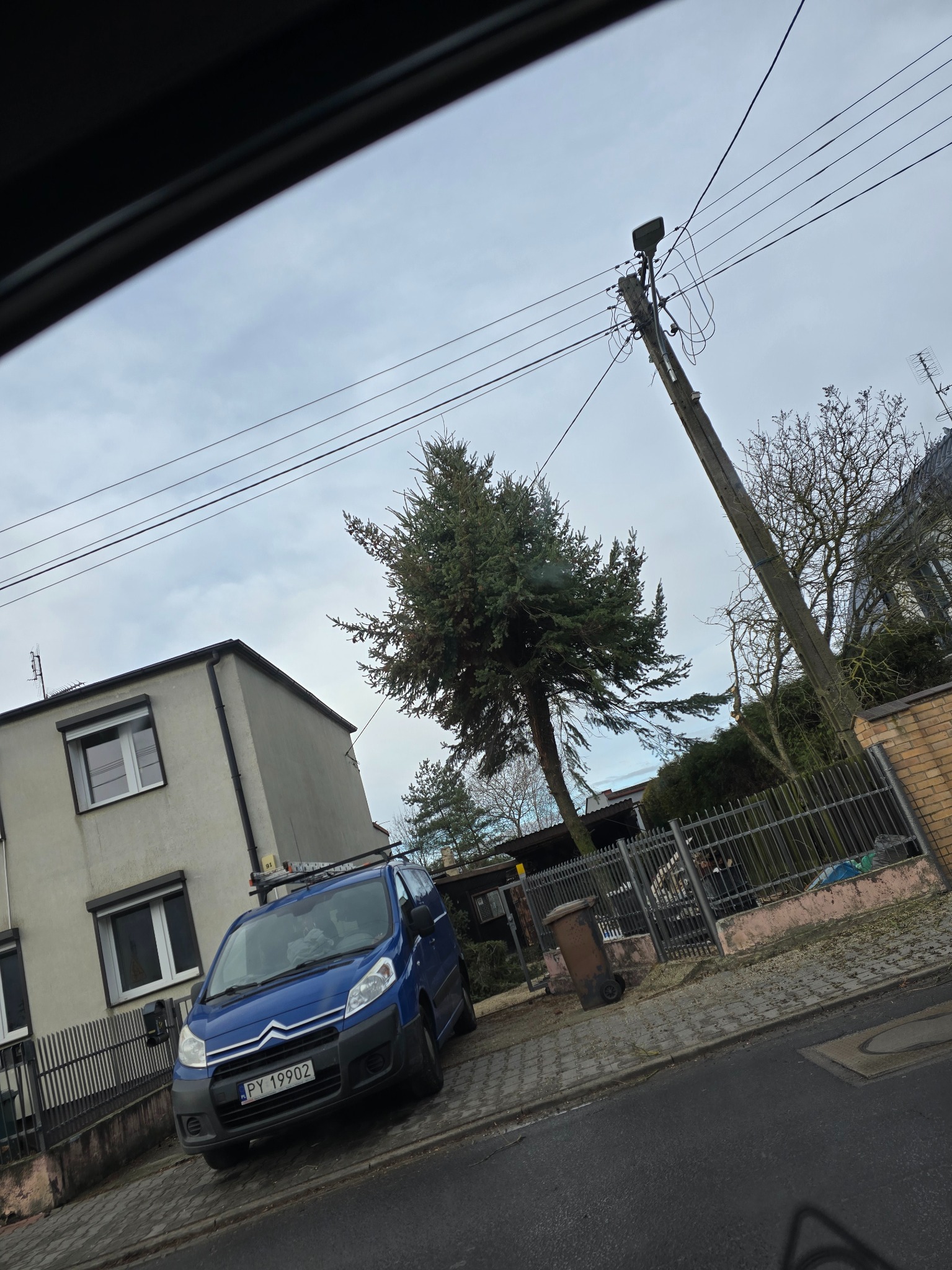 Niebieski samochód dostawczy z drabiną na dachu zaparkowany przed domem i drzewem po przycince, widoczne ślady cięcia gałęzi. Słup energetyczny w tle.