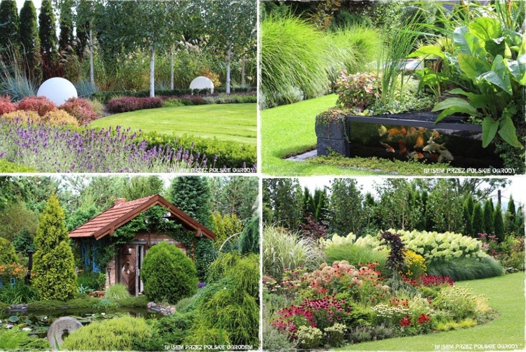 Kompozycja czterech kadrów: zadbany trawnik z kulami, oczko wodne z rybami, domek w zieleni, rabata kwiatowa. Różnorodność roślin i aranżacji w ogrodzie.