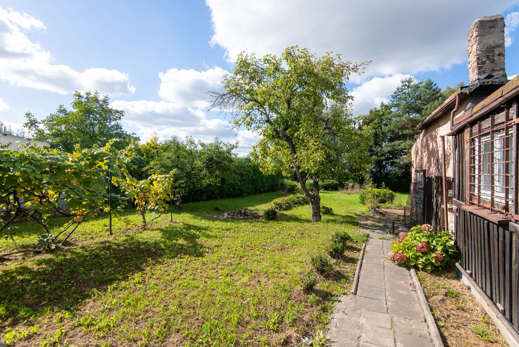 Widok na ogród z drzewami owocowymi, krzewami i ścieżką z kostki brukowej prowadzącą wzdłuż budynku z ceglanym kominem w słoneczny dzień.