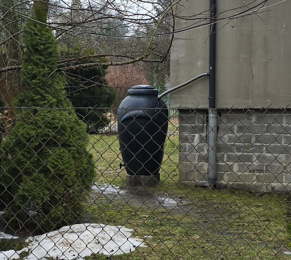 Czarny zbiornik na deszczówkę, podłączony do rynny, stoi przy budynku na trawniku za siatką. Obok rośnie zielony iglak.