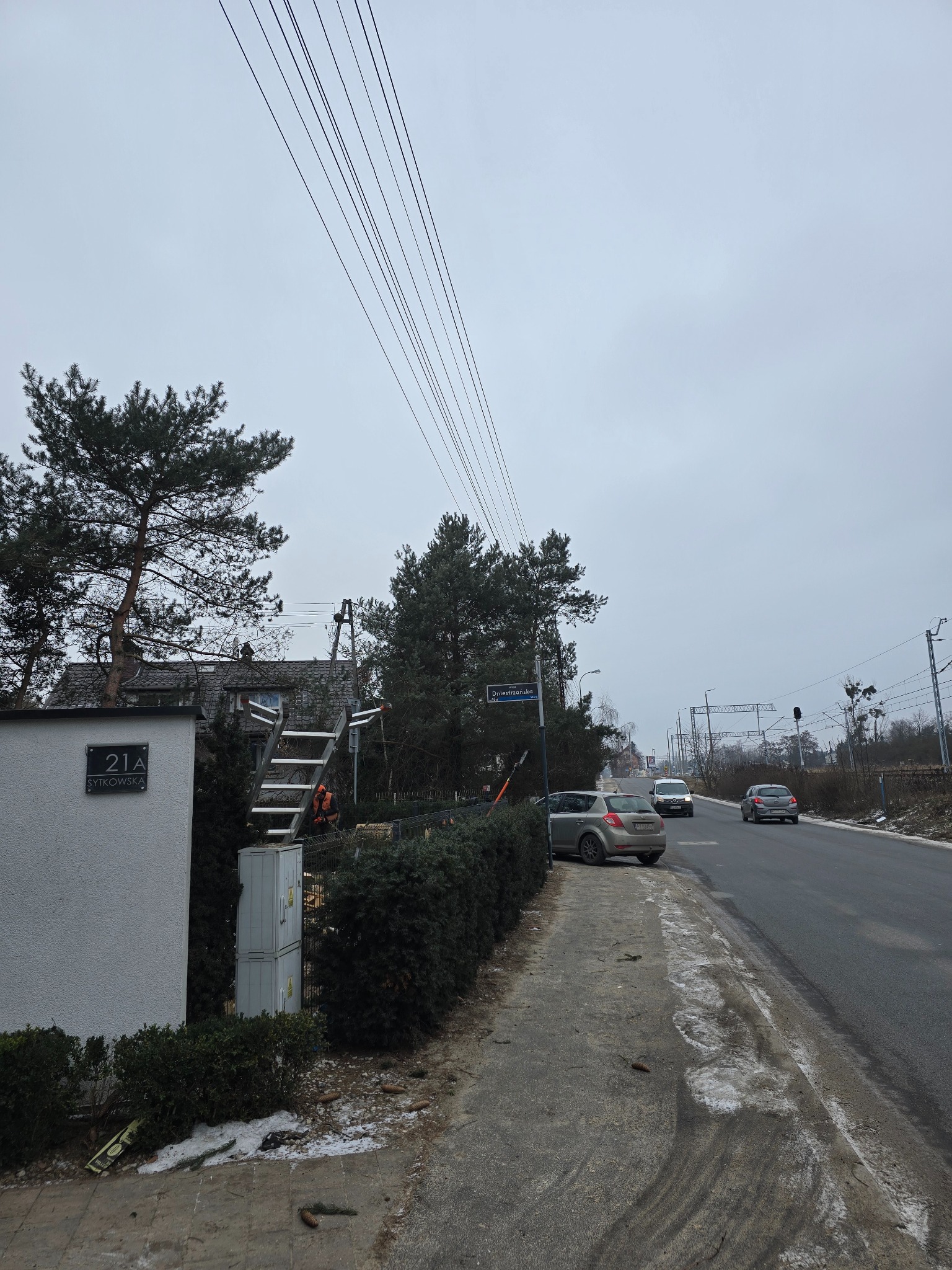 Pracownik na drabinie przycinający żywopłot wzdłuż ulicy. Widoczny znak z adresem posesji i fragment dachu domu. Pochmurne niebo w tle.