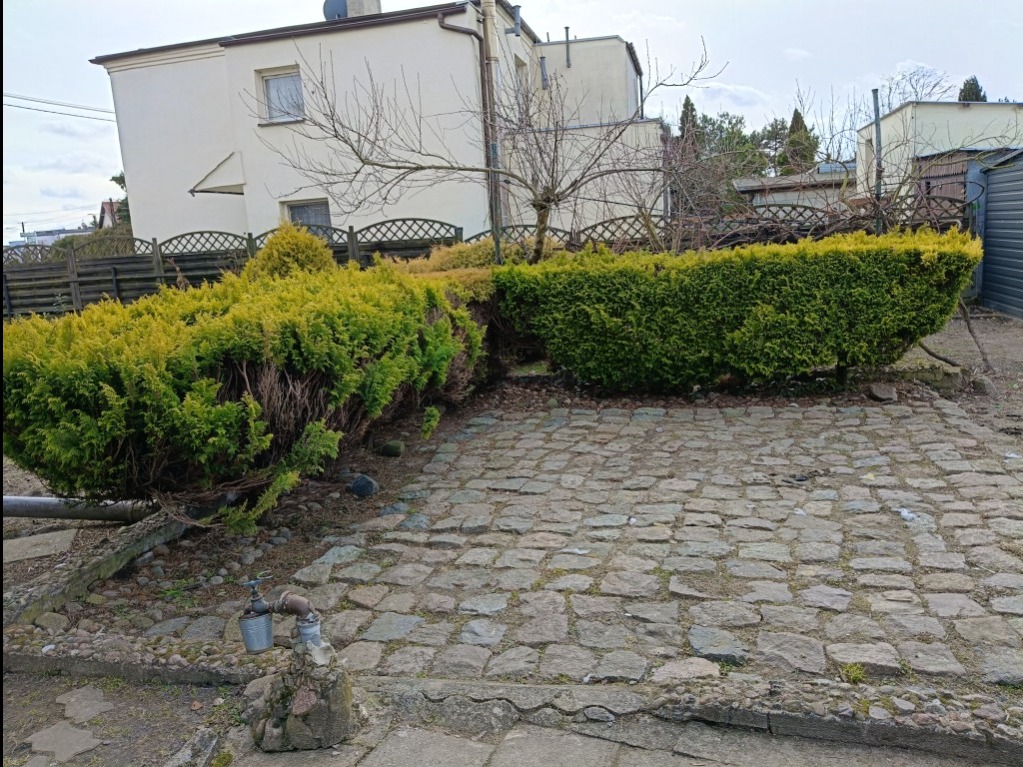 Usunięcie rzywoplotu.