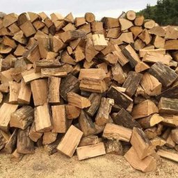 Symlek - Usługi w ogrodzie Sokoł&oacute;w Podlaski