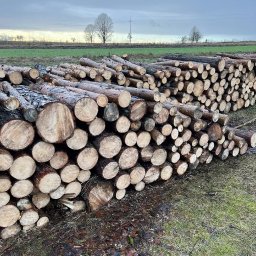 Symlek - Sadzenie drzew i krzew&oacute;w Sokoł&oacute;w Podlaski