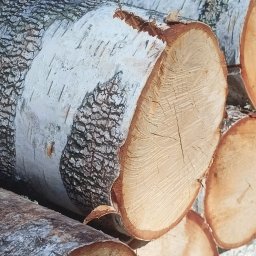 Symlek - Prace działkowe Sokoł&oacute;w Podlaski