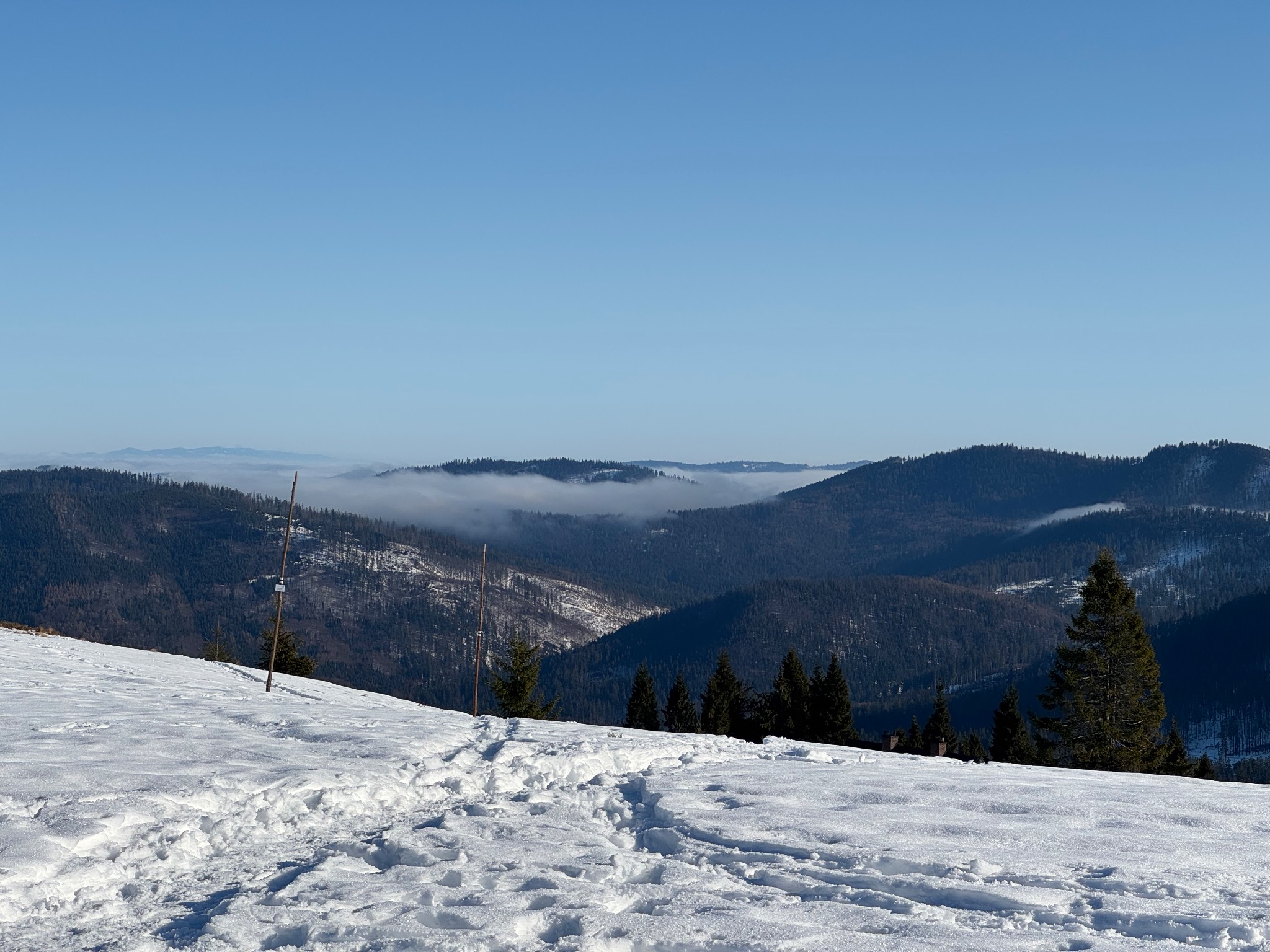Zimowy krajobraz górski z widocznymi śladami na śniegu, lasem iglastym i mgłą w dolinach, uchwycony w słoneczny dzień z perspektywy pieszego szlaku.