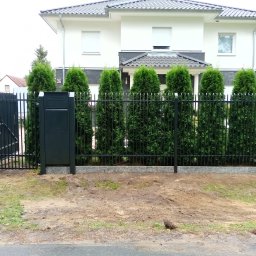 JK STAHL BAU - Nowoczesne, czarne ogrodzenie metalowe z furtką i skrzynką na listy, na tle domu z numerem 36 i rzędem tuj. Widok z poziomu gruntu.