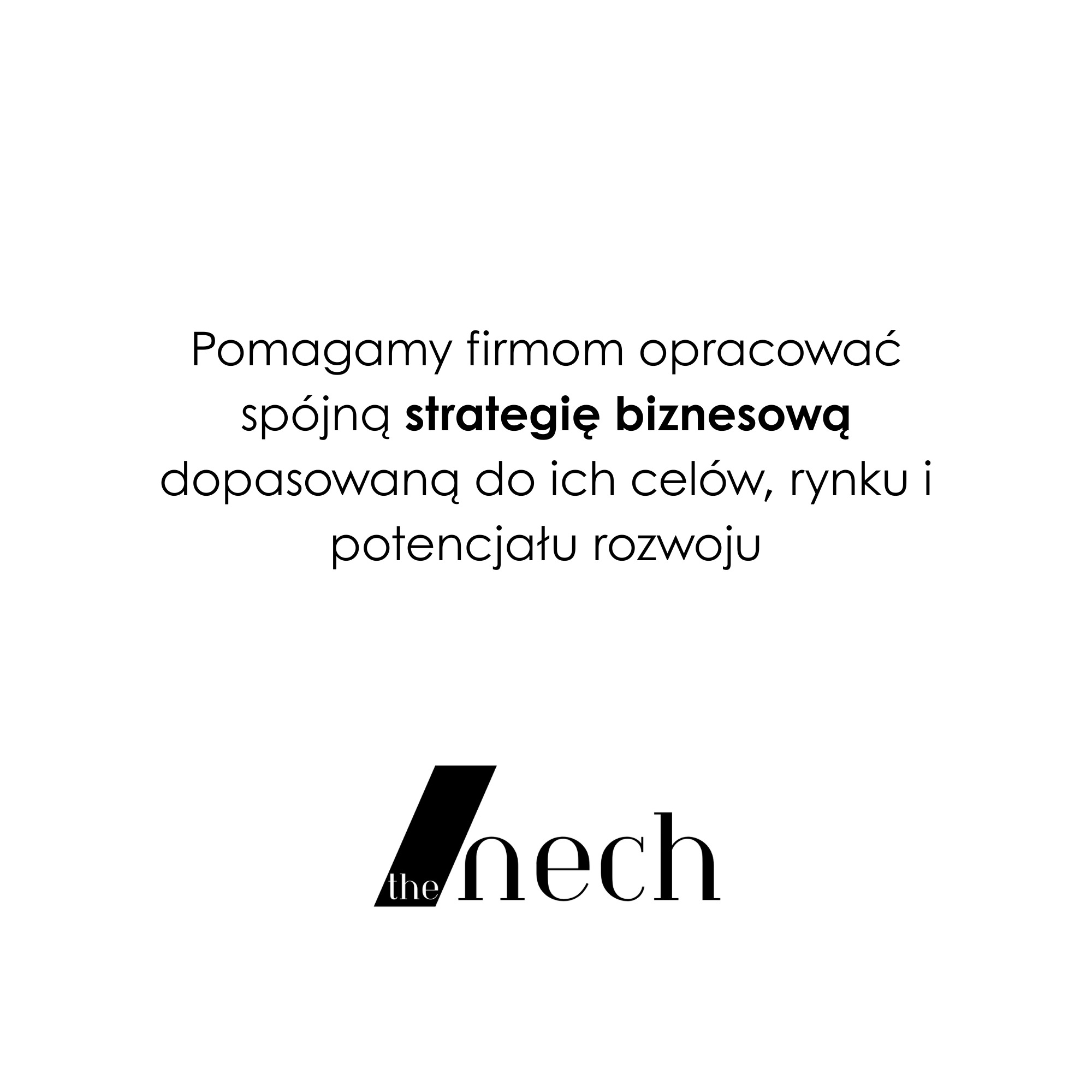 Tekst na białym tle: 'Pomagamy firmom opracować spójną strategię biznesową dopasowaną do ich celów, rynku i potencjału rozwoju' oraz logo 'the nech'.