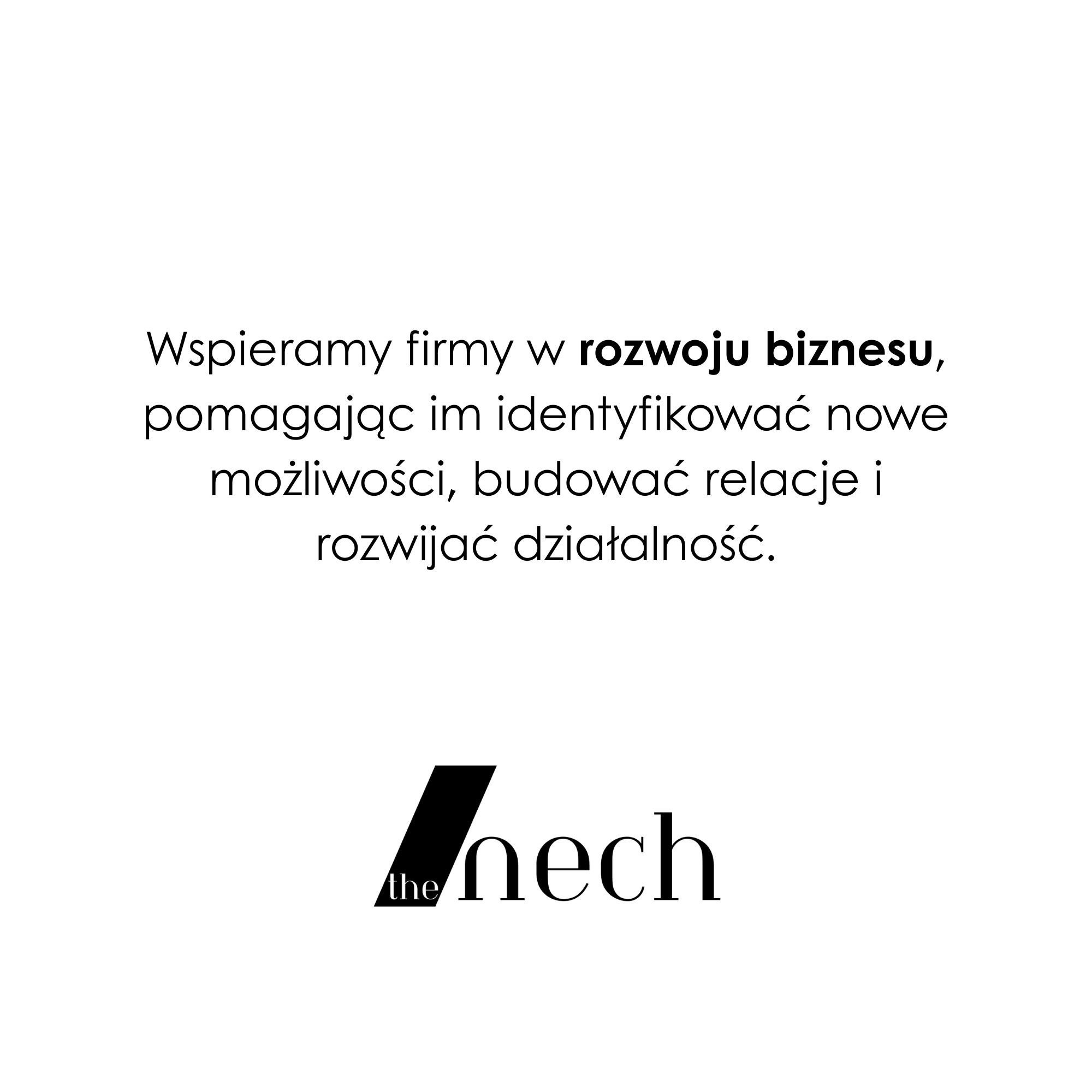 Tekst na białym tle: Wspieramy firmy w rozwoju biznesu, pomagając identyfikować możliwości, budować relacje i rozwijać działalność. Logo firmy 'the nech' poniżej.