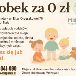 Aleksandra Nycz - Grafika reklamowa żłobka 'Miś Panda' w Bielsku-Białej. Oferta: żłobek za 0 zł, brak opłat dla rodziców, limitowana liczba miejsc, profesjonalna opieka. Kontakt: 506-041-080.