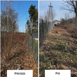 Ogrody U Karola - Zdjęcie 'przed i po' ukazujące teren wzdłuż ogrodzenia: zarośnięty chwastami i po ich usunięciu. Widoczna kosa spalinowa. Słoneczny dzień.
