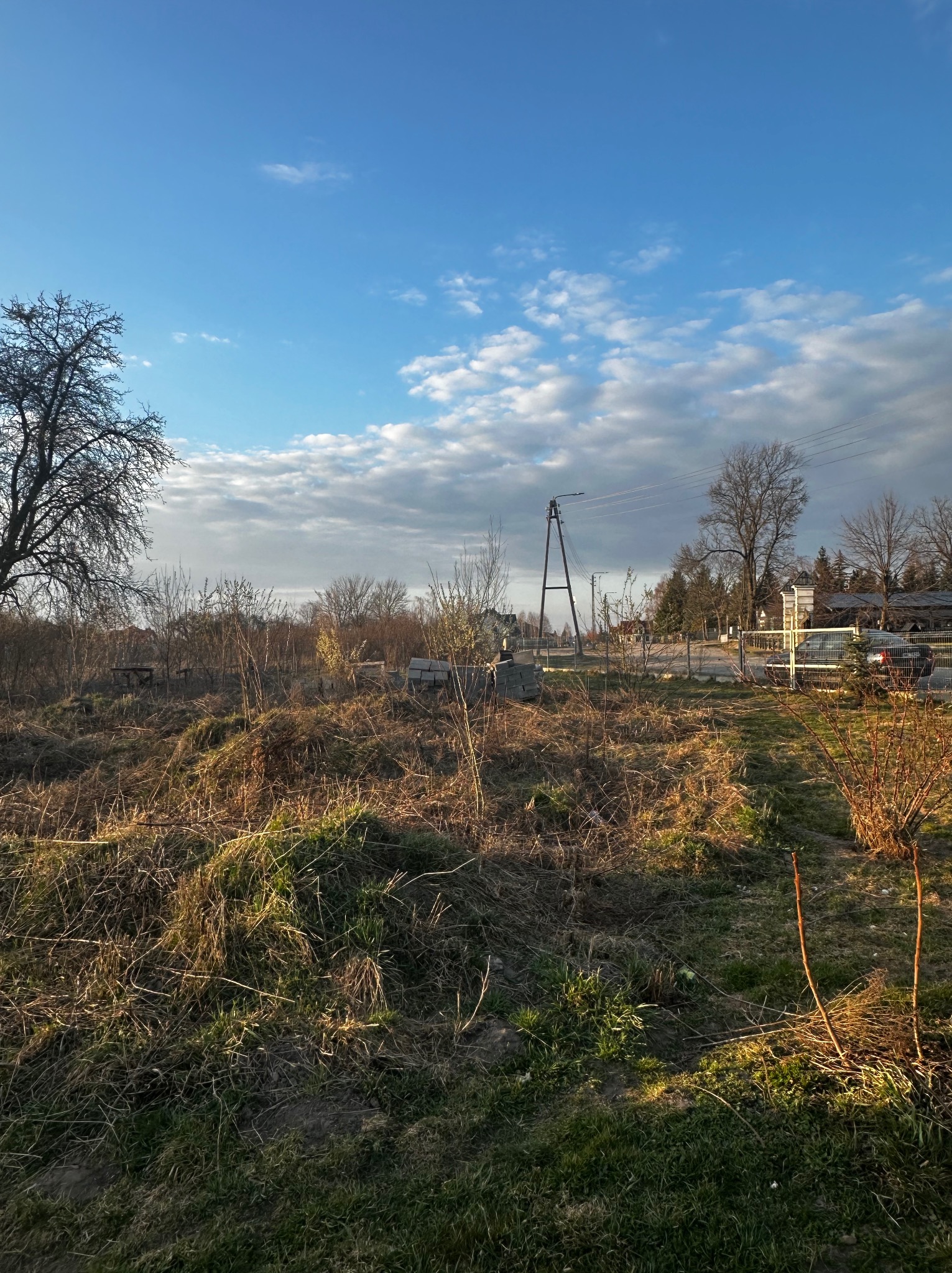 Zarośnięty teren z widocznymi chwastami i suchą trawą, drzewa w tle, błękitne niebo z chmurami. Teren przed rozpoczęciem prac ogrodniczych.