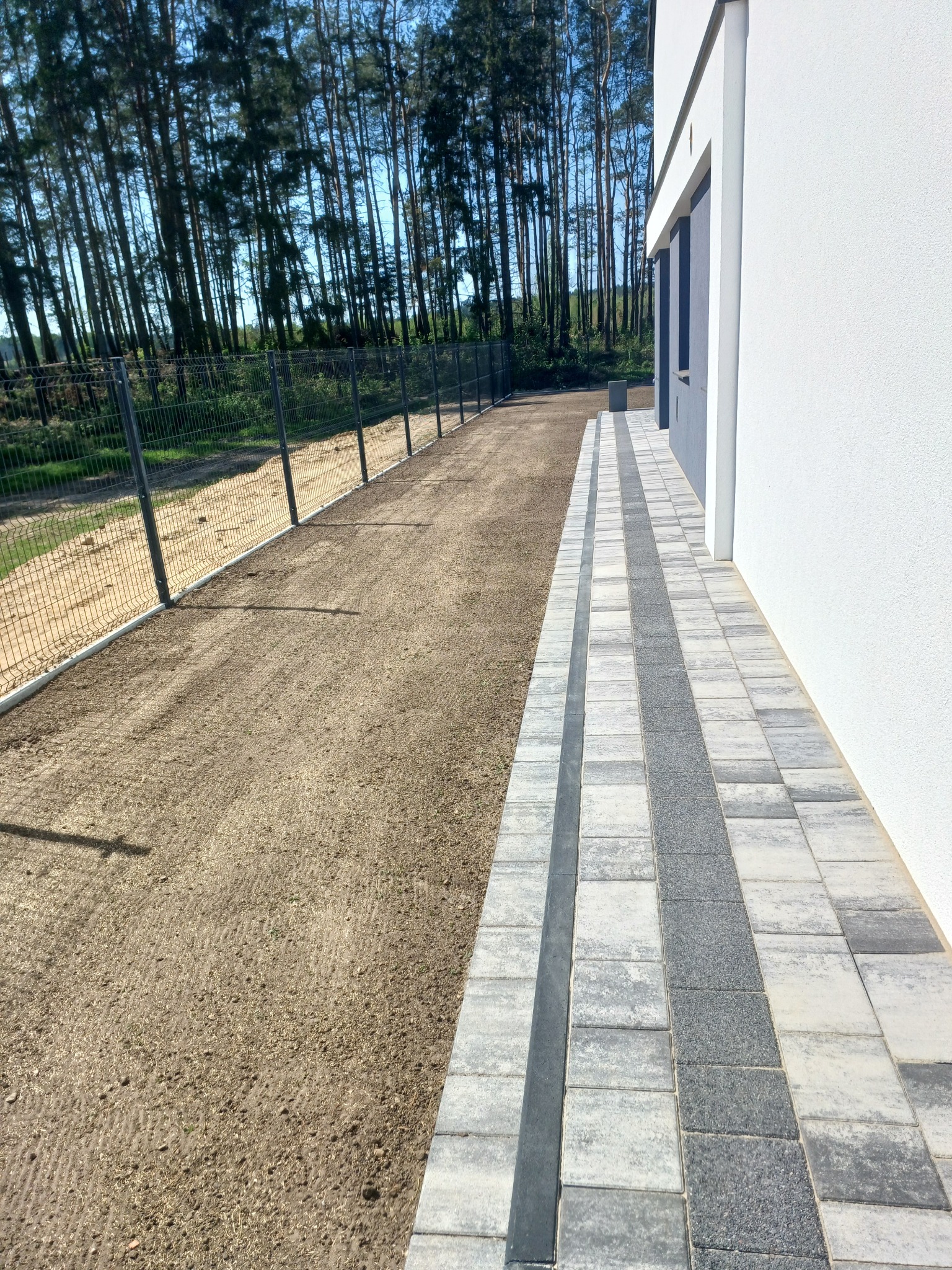 Świeżo założony trawnik z widocznymi nasionami, obok nowoczesny chodnik z kostki brukowej w odcieniach szarości, ogrodzenie siatkowe i las w tle. Słoneczny dzień.