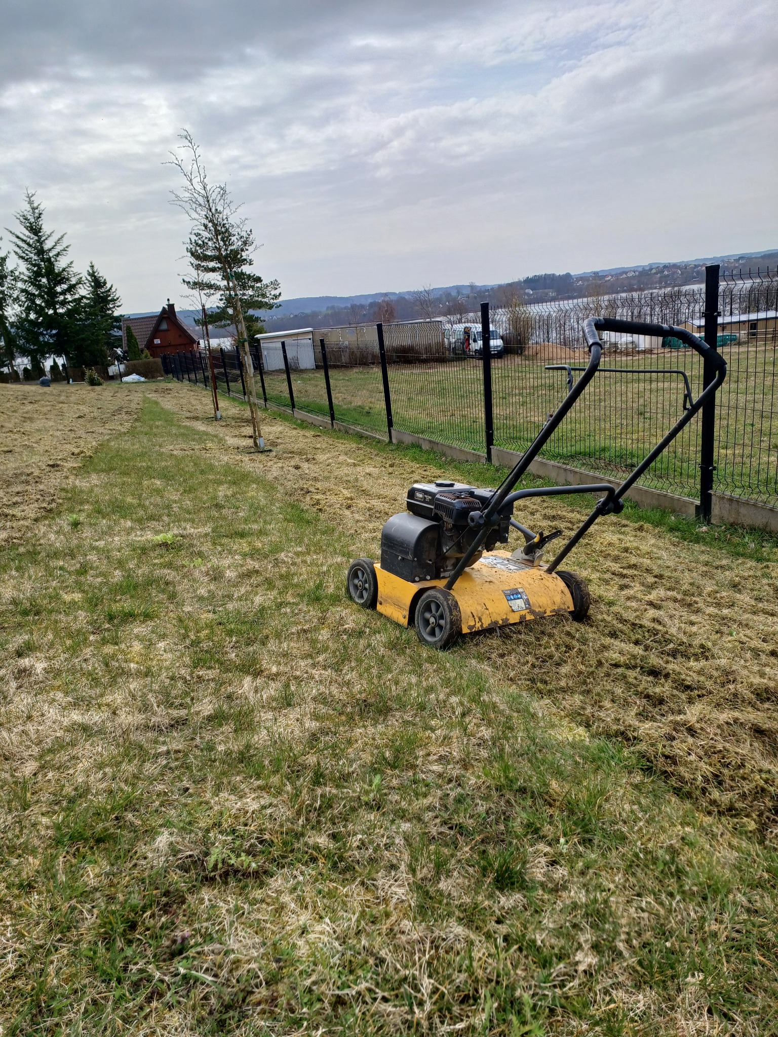 Wertykulacja trawnika na posesji z widokiem na jezioro. Żółty wertykulator na tle częściowo wertykulowanej trawy, ogrodzenia i drzew. Pochmurne niebo.