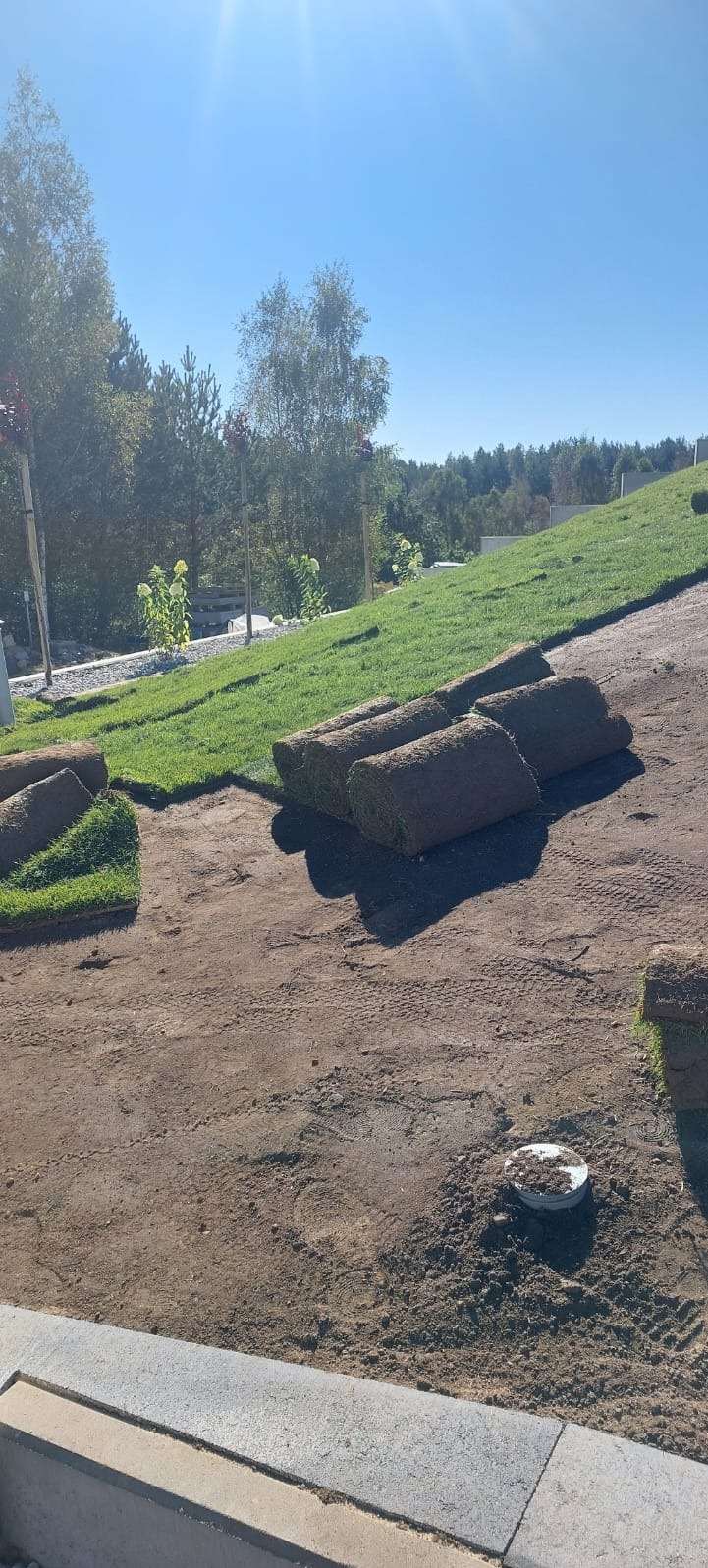 Rozwinięte i zwinięte rolki trawy na przygotowanym podłożu, częściowo obsadzony trawnik na wzgórzu, drzewa w tle, słoneczny dzień.