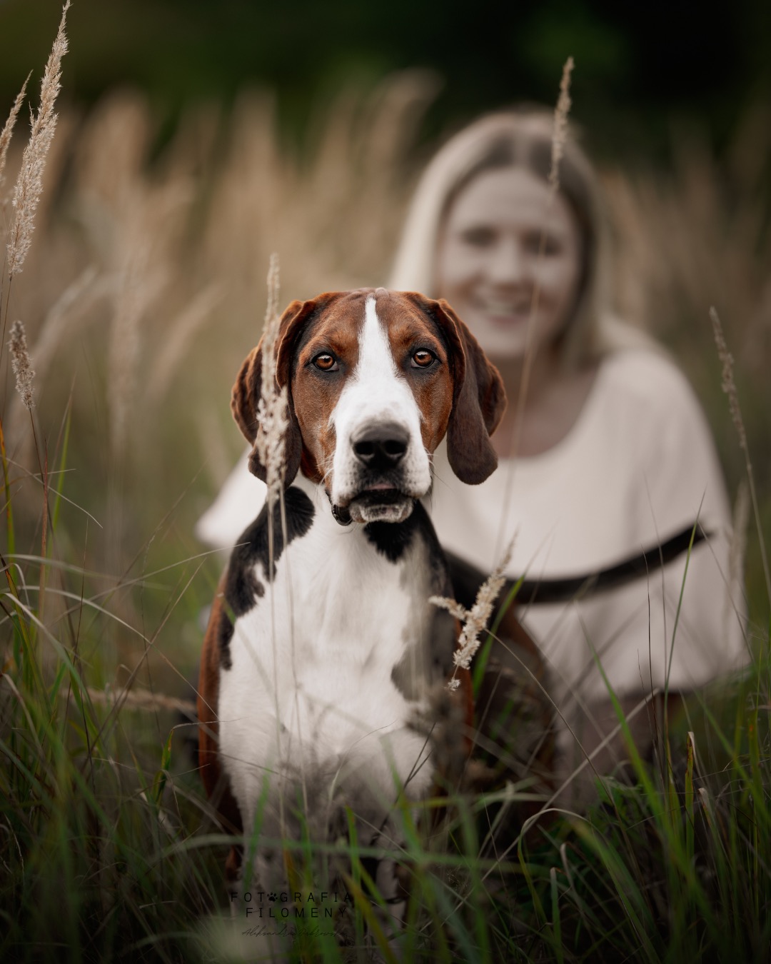 Portret psa rasy gończy polski na tle rozmytej, uśmiechniętej kobiety w plenerze. Ujęcie z niskiej perspektywy, z widocznymi źdźbłami trawy i elementami roślinności.