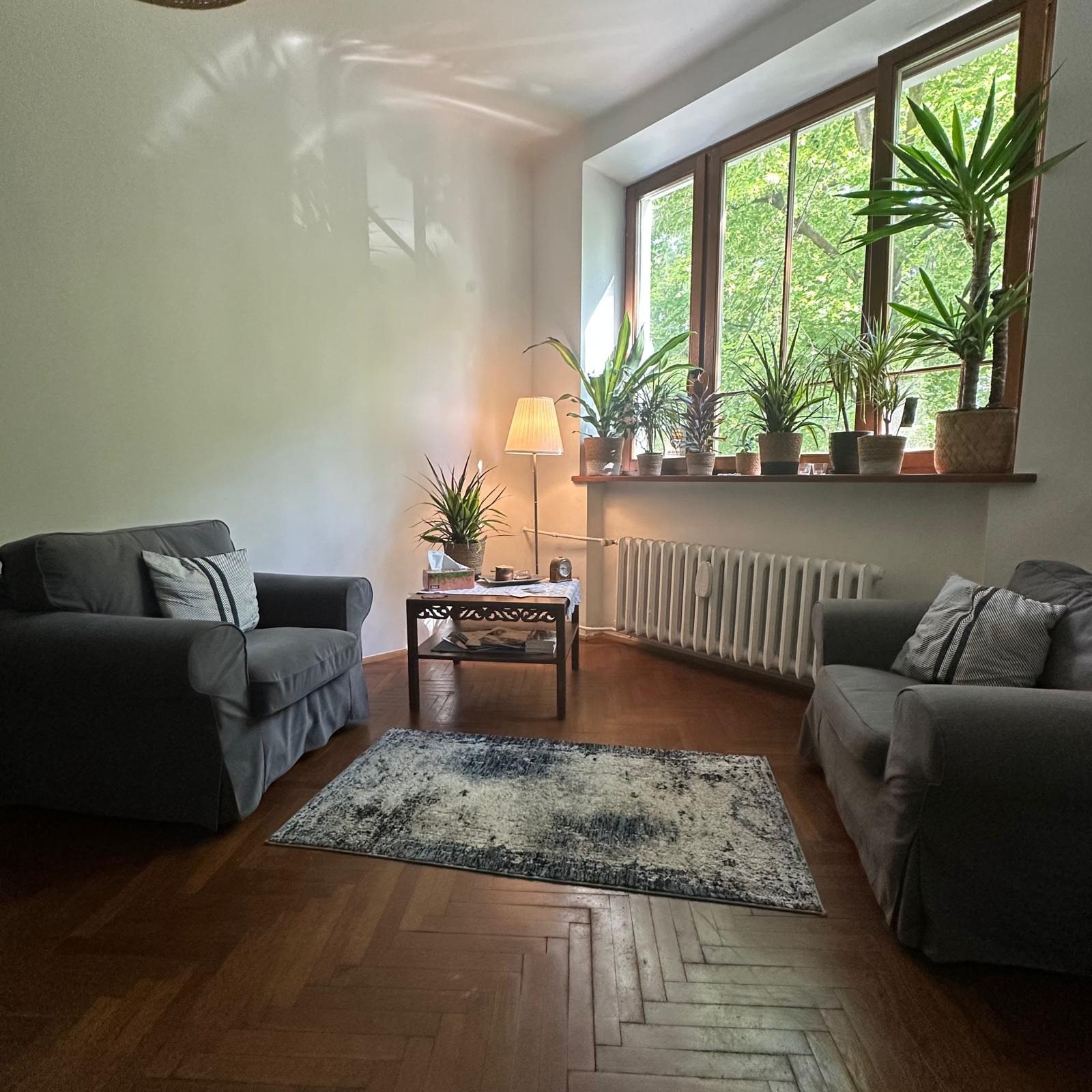 Jasny pokój z dwoma szarymi fotelami, dywanem i roślinami w oknie. Na stoliku lampka i drobne przedmioty. Parkiet na podłodze. Światło słoneczne na ścianie.