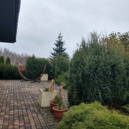 Yevhenii Dyskant - Ułożona kostka brukowa na posesji z licznymi krzewami iglastymi i drzewami. W tle widoczny fragment domu z kolumnami. Pochmurne niebo.