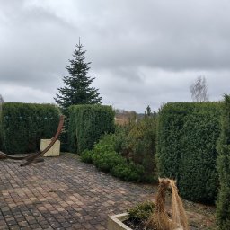 Yevhenii Dyskant - Kwadratowa kostka brukowa w odcieniach brązu tworzy ścieżkę w ogrodzie. W tle formowane krzewy, drzewo iglaste i drewniany stelaż hamaka. Pochmurne niebo.