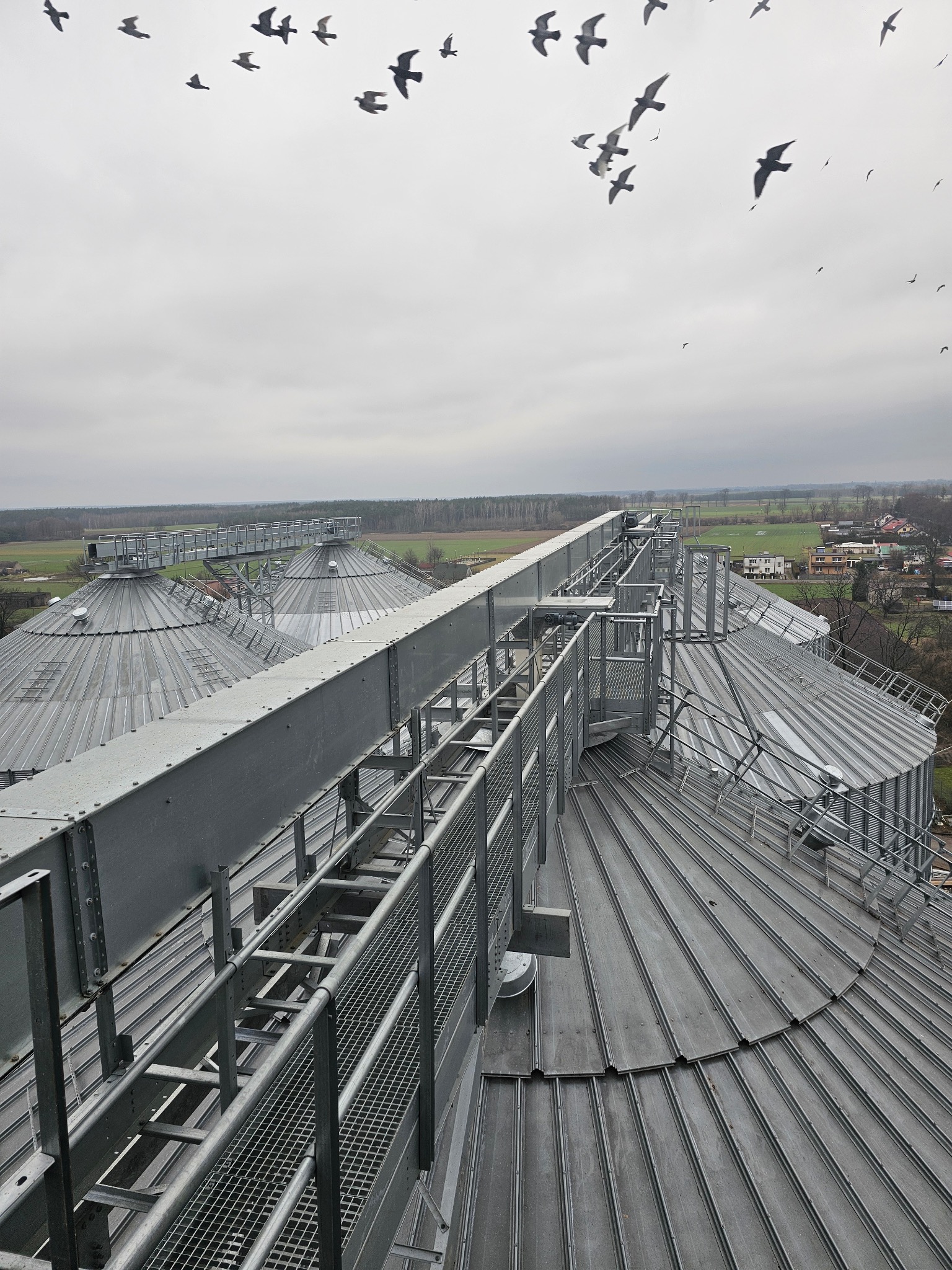 Metalowe silosy zbożowe z pomostami komunikacyjnymi na tle pochmurnego nieba i krajobrazu. Nad silosami przelatuje stado ptaków.