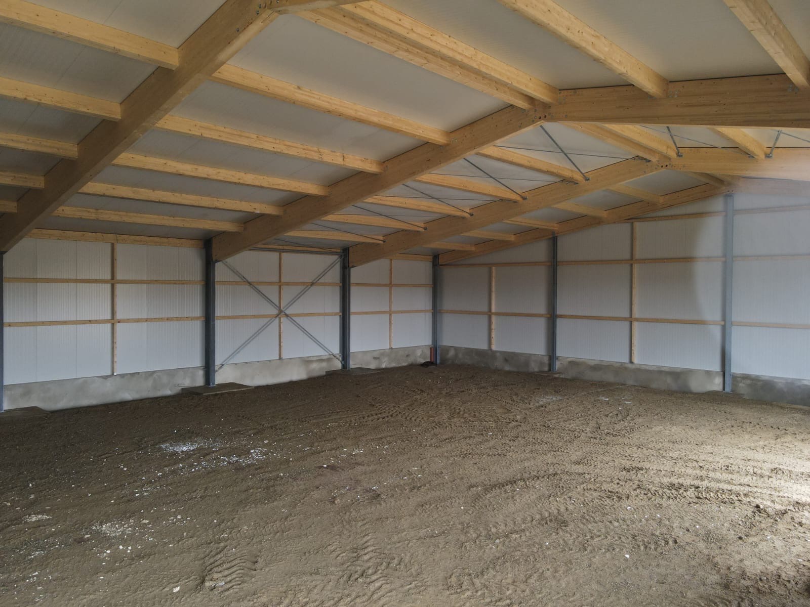 Wnętrze hali z drewnianą konstrukcją dachu i ścianami z płyt warstwowych. Widoczna surowa podłoga z ubitej ziemi. Stalowe słupy konstrukcyjne.