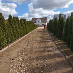 PROKOP I SYN - MICHAŁ PROKOP - Droga gruntowa z kamieniami, obrzeża betonowe, szpaler tuj po bokach, dom w tle, błękitne niebo z chmurami. Etap przygotowania podłoża pod nawierzchnię.