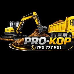 PROKOP I SYN - MICHAŁ PROKOP - Płoty Ogrodzeniowe Karsko