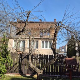 Mateusz Gryczan - Ogród w Białymstoku z drzewem o fantazyjnie powyginanych gałęziach, widoczne krzewy i trawnik. W tle dom jednorodzinny i drewniany płot.