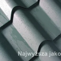 Blachodachowka Szwedzka