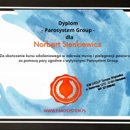 DEMINU USŁUGI MYJĄCE - 