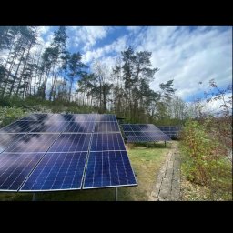 Elektro-Flesz Fotowoltaika oraz Magazyn Energi - Instalacja paneli na trawiastym terenie, widok z dołu na niebo i drzewa. Panele ustawione rzędami, widoczna ścieżka z płyt. Ujęcie z niskiej perspektywy.